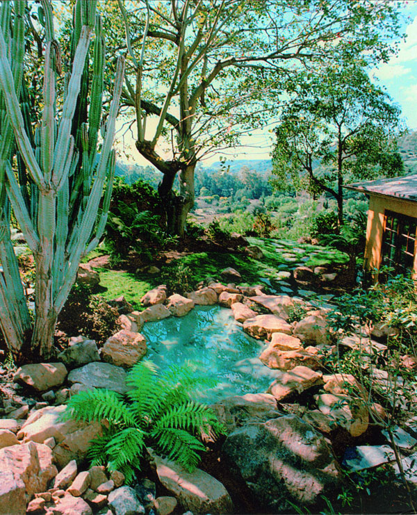 Swimming Pools, Spas, and Water Features Gallery